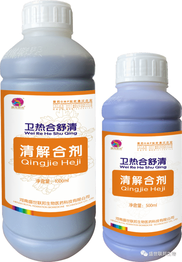 Qingjie Mixture — Heat-Clearing & Detoxifying Solution for Poultry