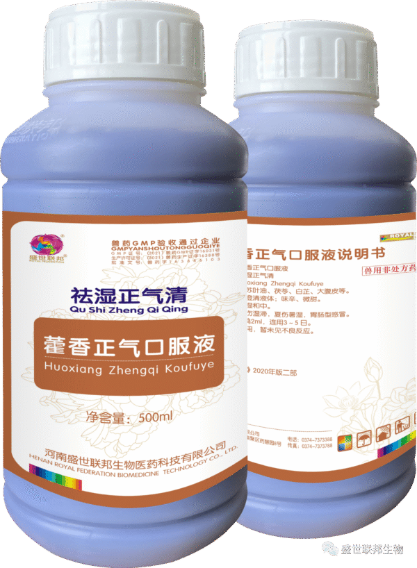 Huoxiang Zhengqi Oral Solution — Summer Heat & Digestive Relief Formula