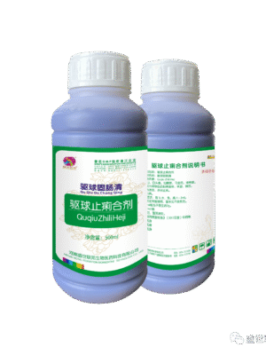 Quchong Zhixie Mixture — Anticoccidial & Antidiarrheal Herbal Formula